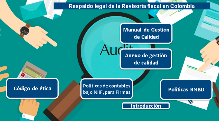 Herramienta Integral Para El Ejercicio De La Revisoría Fiscal